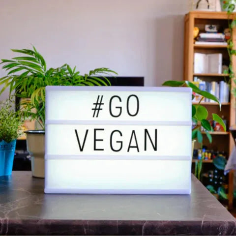 Vegan clothing made from plant-based fibres