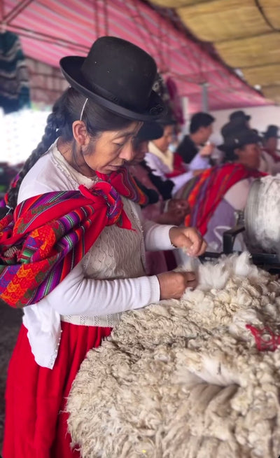 Sorting Alpaca fibres